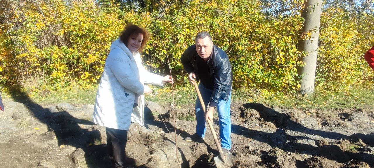 Сад нашої мрії